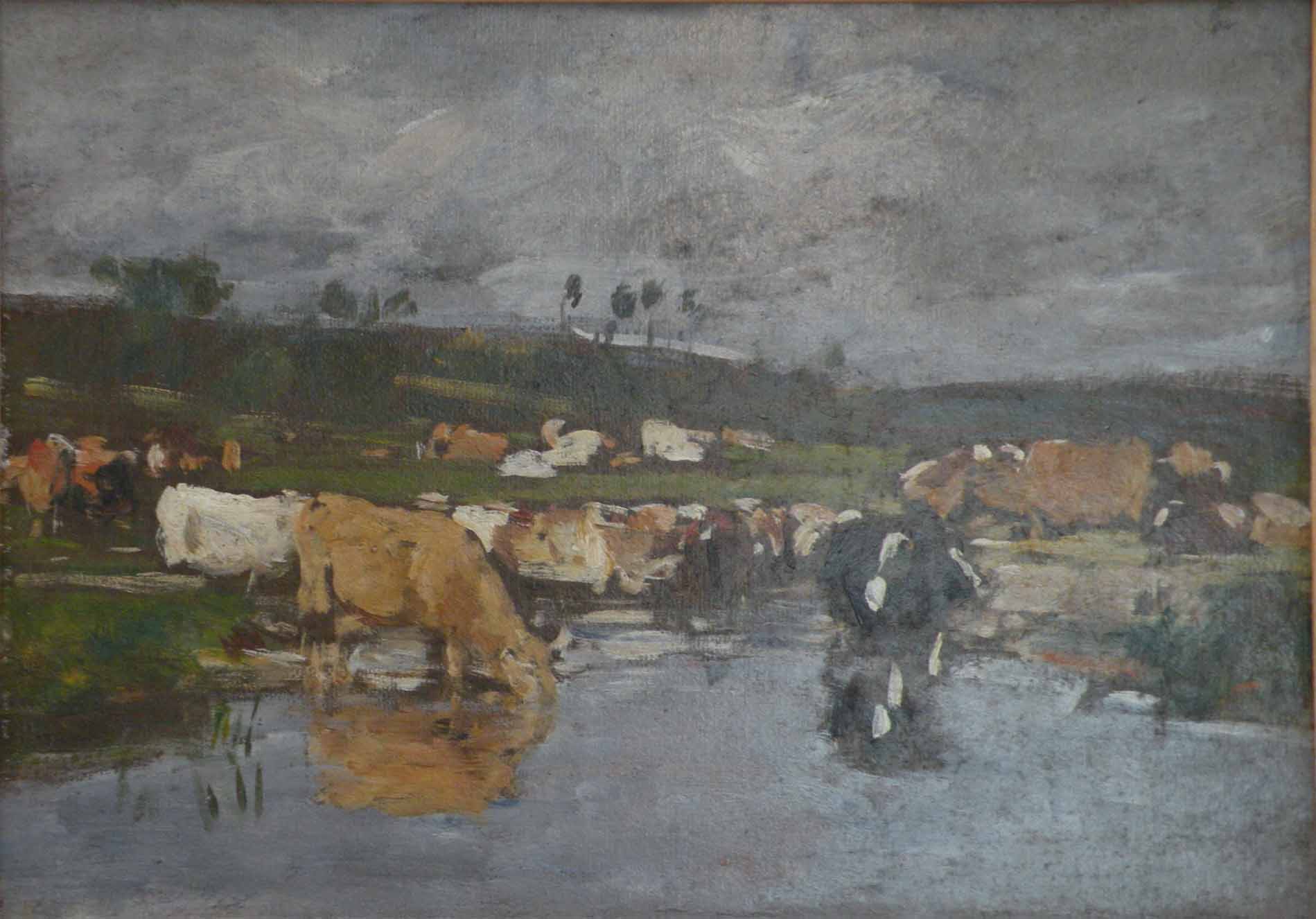Paysage Nombreuses vaches a herbage